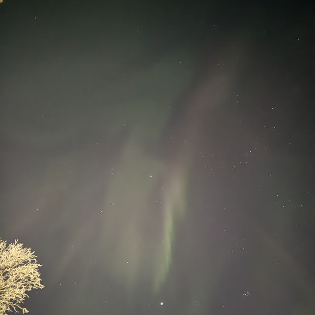 Catching Auroras 
