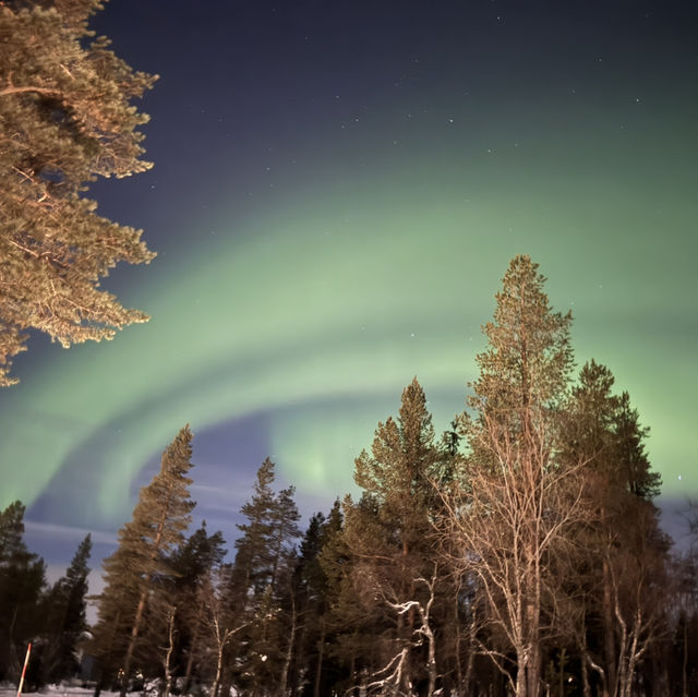 Catching Auroras 