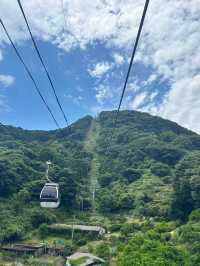 【伊豆パノラマパーク】絶景×美食で贅沢なひとときを🌿
