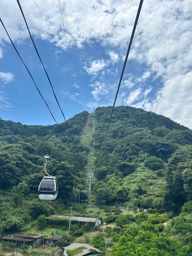 【伊豆パノラマパーク】絶景×美食で贅沢なひとときを🌿