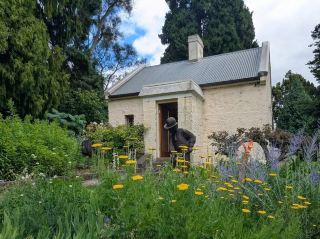 Royal Tasmanian Botanical Gardens