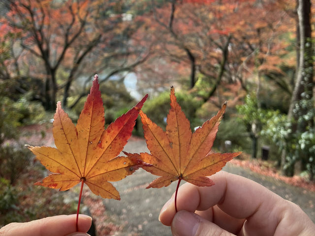 御船山樂園