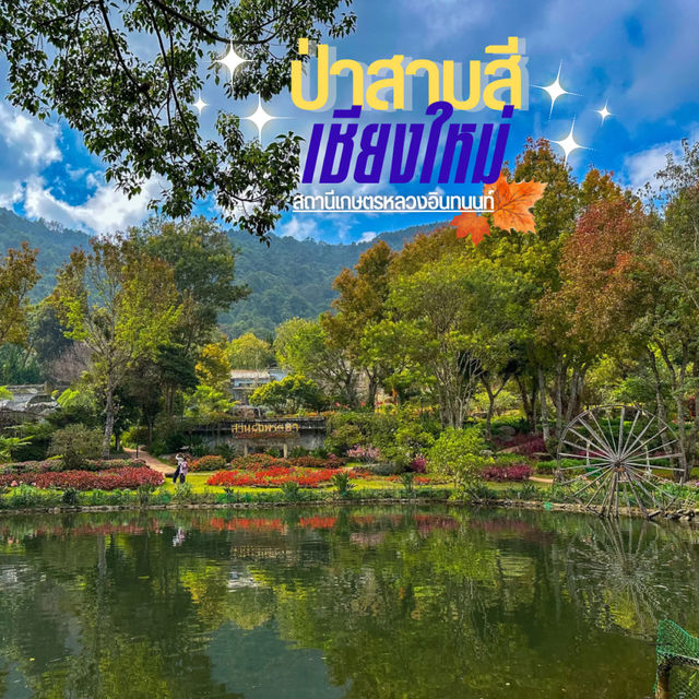 ป่าสูงสุด🔝 ของไทย สถานีเกษตรหลวงอินทนนท์