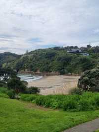 와이헤케섬에서의 힐링 - Little Oneroa Beach🇳🇿