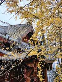 ✨Baolun temple Chongqing