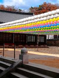 韓國大邱_秋意必訪 桐華寺Donghwasa Temple