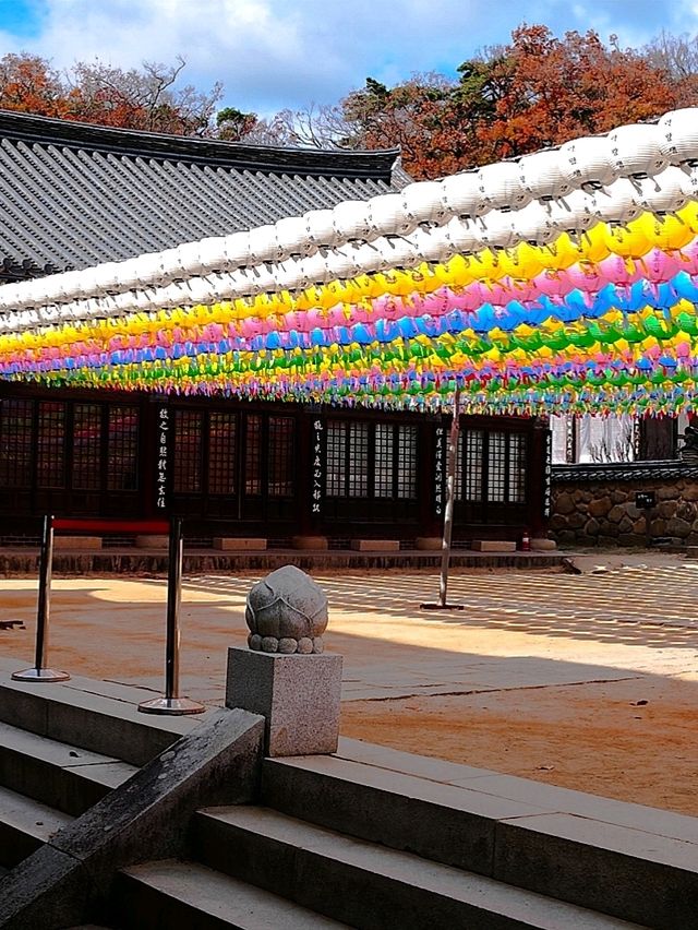 韓國大邱_秋意必訪 桐華寺Donghwasa Temple