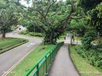 Telok Blangah Hill Park