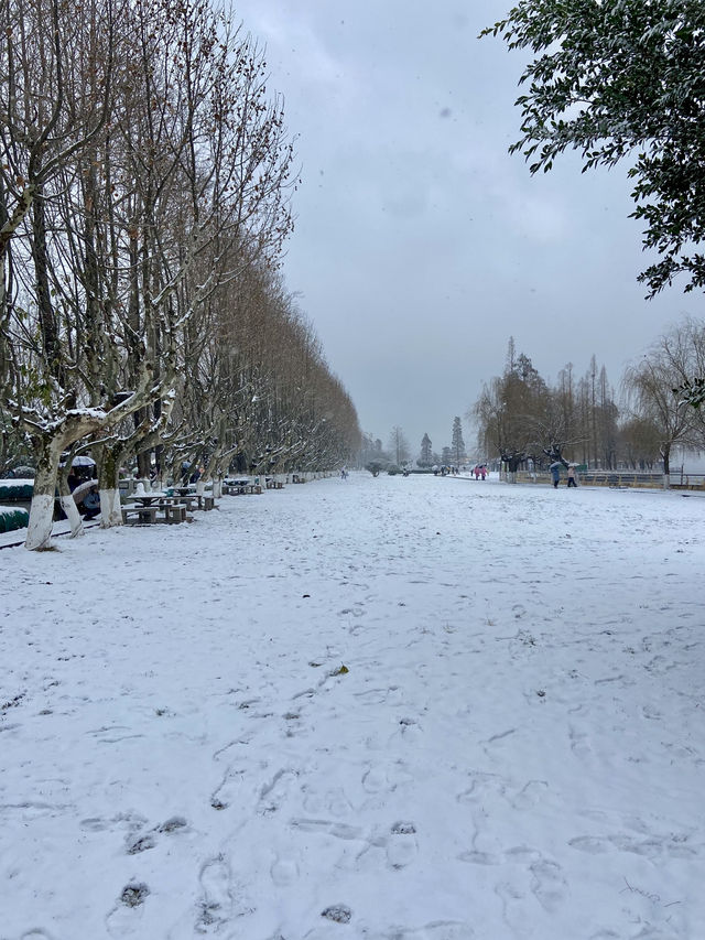 🥰☃️白雪浪漫～昆明滇池必去海埂公園🕊️🌊