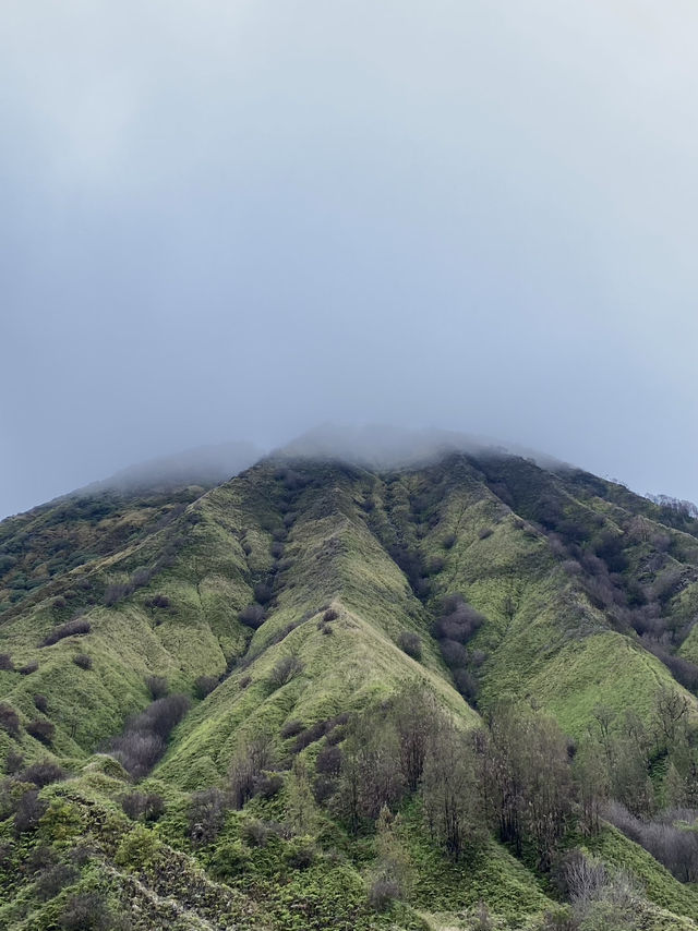 เป็นทริปที่เราตั้งชื่อว่า ปุ๊ปปั๊บทัวร์ ⛰️💚
