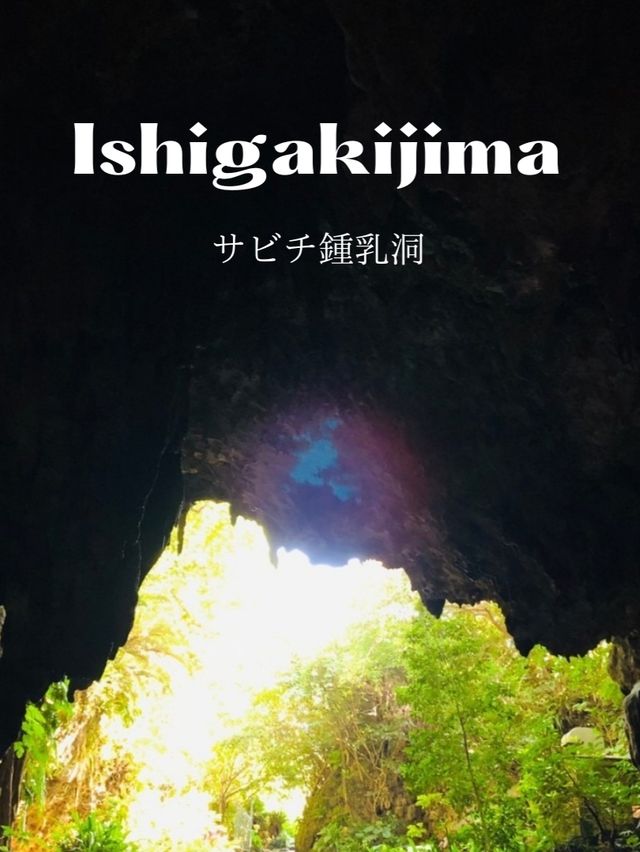 【鍾乳洞から海に出る！奇岩のパワースポット】