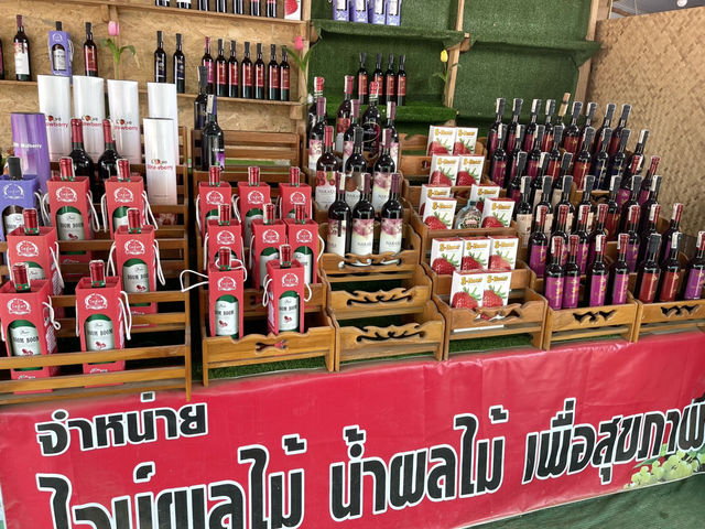 ไร่สตอเบอร์รี่อาจูเด่นชัย จ.แพร่