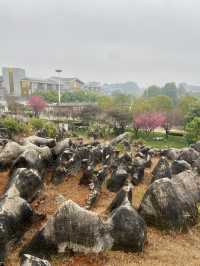 🏞️☺️石林生態公園｜雲林昆明好去處🥾