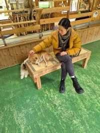 PAW Pet Animal World Nagasaki