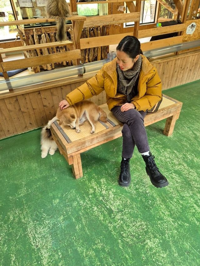 PAW Pet Animal World Nagasaki