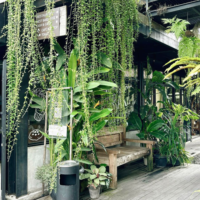 Nest Coffee & Donuts, Yogyakarta