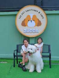 ถูกใจคนรักหมาแมว Zucca - The Pet Sanctuary & Cafe
