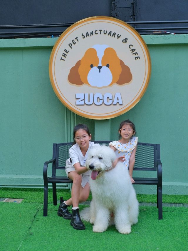 ถูกใจคนรักหมาแมว Zucca - The Pet Sanctuary & Cafe