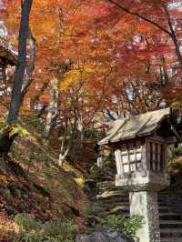 京都｜盡顯禪意之美-常寂光寺 風水布局與神佛傳說