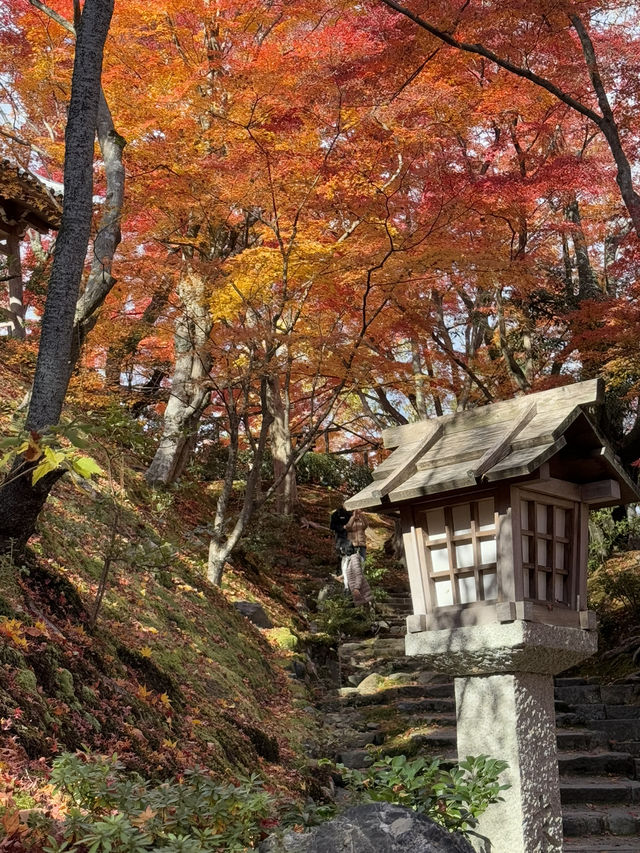 京都｜盡顯禪意之美-常寂光寺 風水布局與神佛傳說