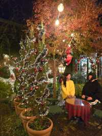 사랑이 샘솟는 크리스마스 카페🎄