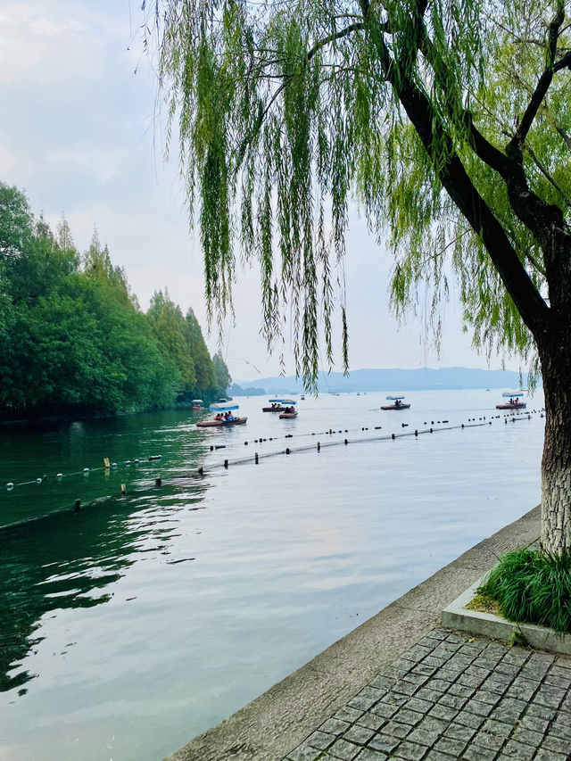 蘇軾筆下之🏞️聖湖🍁美人