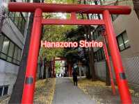 ศาลเจ้าฮานะโซโนะ (Hanazono Shrine) โตเกียว
