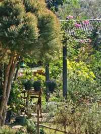 Mori Natural Farm เป็นฟาร์มสเตย์สไตล์ญี่ปุ่น