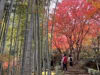 The Everlasting Light of Wisdom in Nirvana — The Jojakko-ji Temple in Arashiyama 