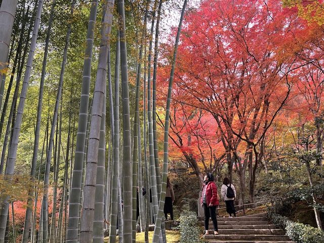 The Everlasting Light of Wisdom in Nirvana — The Jojakko-ji Temple in Arashiyama 
