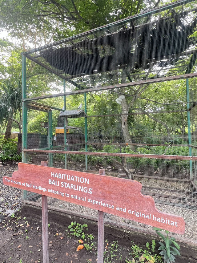 Visiting A Home To Over A Hundred Species Of Wildlife 🦍✨