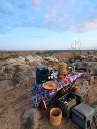 🦁 Explore Serengeti National Park, Tanzania – A Safari Like No Other! 🌿🐾