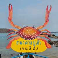 ศูนย์เรียนรู้ธนาคารสัตว์​ทะเล เกาะสีชัง