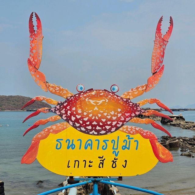 ศูนย์เรียนรู้ธนาคารสัตว์​ทะเล เกาะสีชัง