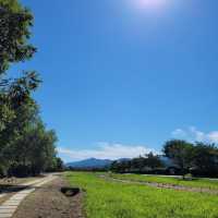 水の庭園 