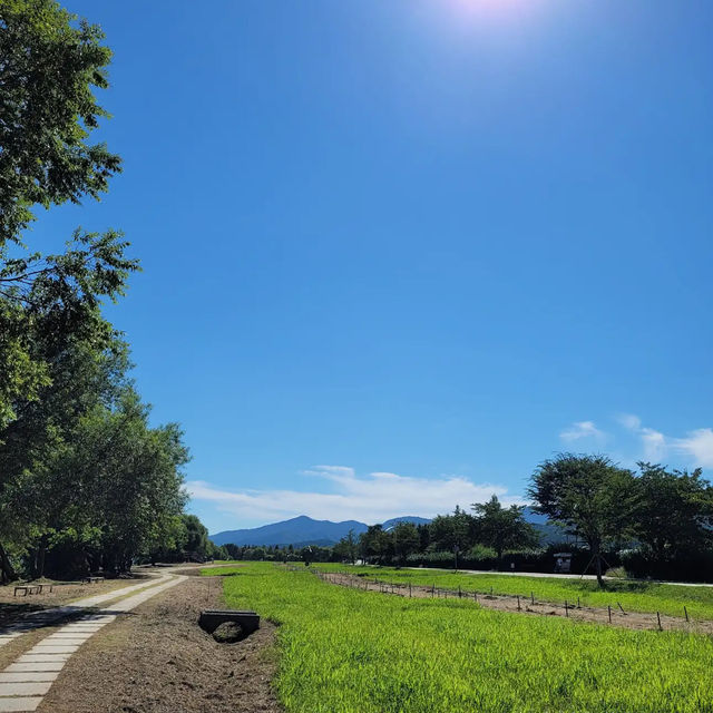 水の庭園 