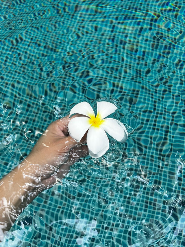 BURASURI HOTEL IN PHUKET 🇹🇭