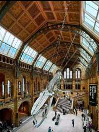Natural history museum London 