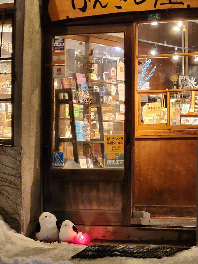 🇯🇵 Winter Magic in Hokkaido: Exploring Sapporo and Otaru’s Snowy Charm