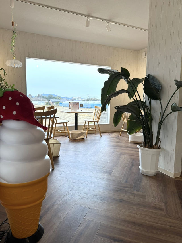 【福岡観光】その日に採ったいちごが食べられる🍓いちご摘みできる農園さんのカフェ🍓