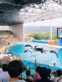 動物たちとの触れ合いが楽しめる！アドベンチャーワールド🐼💖
