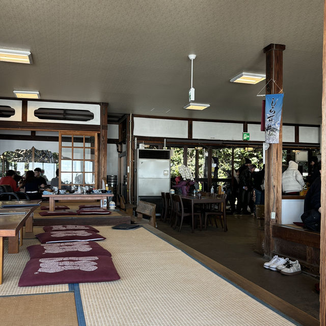 【食べ歩き】神奈川 江ノ島 魚見亭 新鮮なお刺身と名物が味わえる老舗定食屋さん