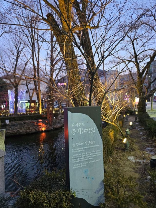 티니핑이 함께하는 태백 눈꽃축제✨️