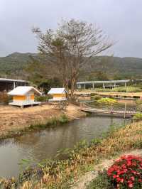 珠海木頭沖村鶴道花海——周末郊遊好去處