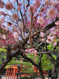 精緻巧妙造景的水前寺成趣園