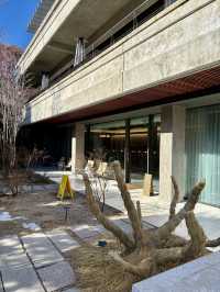 【韓国ソウル・三清洞】北村韓屋村の伝統的な雰囲気を楽しめる「o'sulloc TEA HOUSE 北村店」