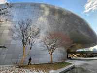 Dongdaemun Design Plaza (DDP, 東大門設計廣場