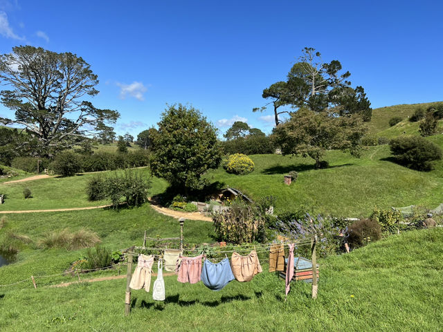 紐西蘭  霍比特村（Hobbiton）旅遊全攻略：魔戒迷必訪的中土世界秘境！