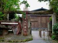 宜蘭景點（梅花湖+羅東林業文化園區+望龍埤）ㄧ日遊