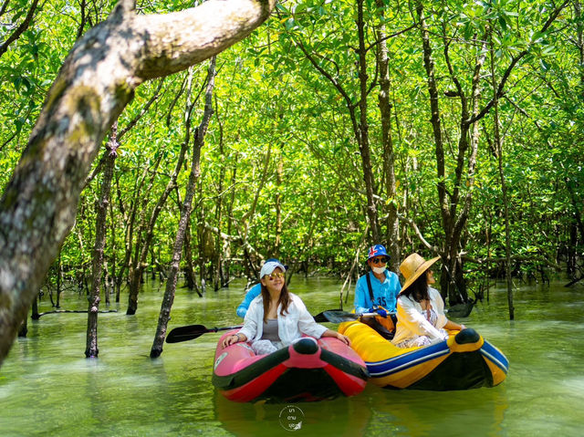 มาล่องเรือไม้แบบส่วนตัวสุดหรู